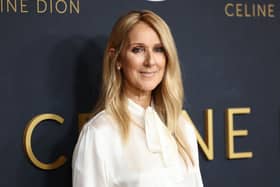 Celine Dion is believed to have earned the most of her fortune from Las Vegas residencies, but has also sold more more than 220 million albums worldwide. (Picture: Getty Images)