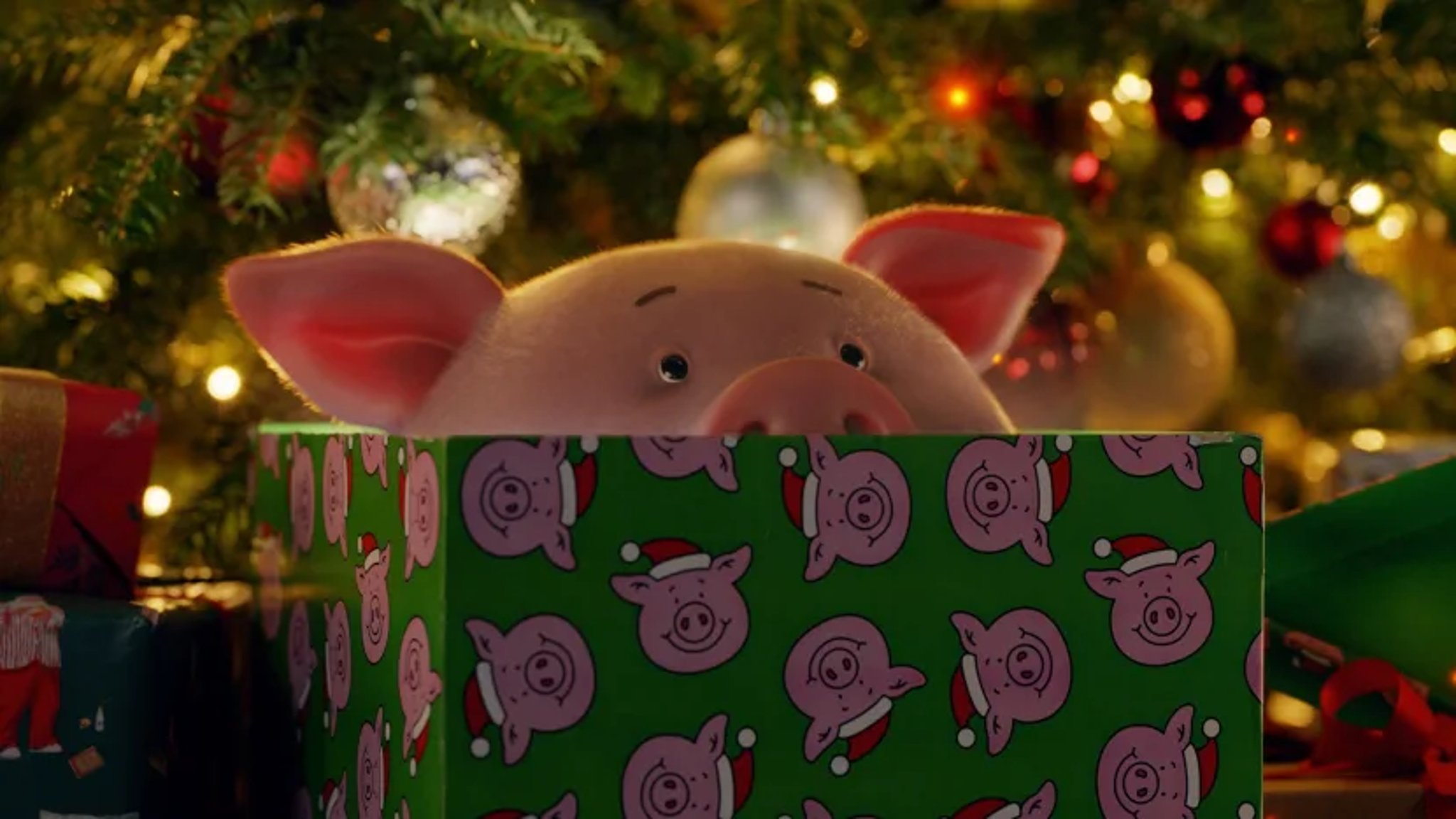 First Christmas Commercial 2022 Who Is The Voice Of Percy Pig? M&S Christmas Advert For 2021 Stars Tom  Holland And Judy Dench | Nationalworld