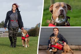XL Bully: Court orders destruction of two XL Bullies after three  out-of-control dogs injure woman in Sheffield