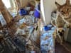 RSPCA: Eight cats rescued from rubbish-filled home with 'diarrhoea on the floor' and 'piles of mouldy faeces'