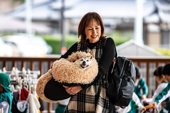 This picture taken on March 19, 2024 shows Atsuko Sato with her Japanese shiba inu dog Kabosu, best known as the logo of cryptocurrency Dogecoin, playing with students at a kindergarten in Narita, Chiba prefecture, east of Tokyo. (Photo by PHILIP FONG/AFP via Getty Images)