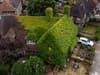 Home covered in Virginia Creeper ivy becomes tourist attraction in Bromley - but neighbours say it's untidy